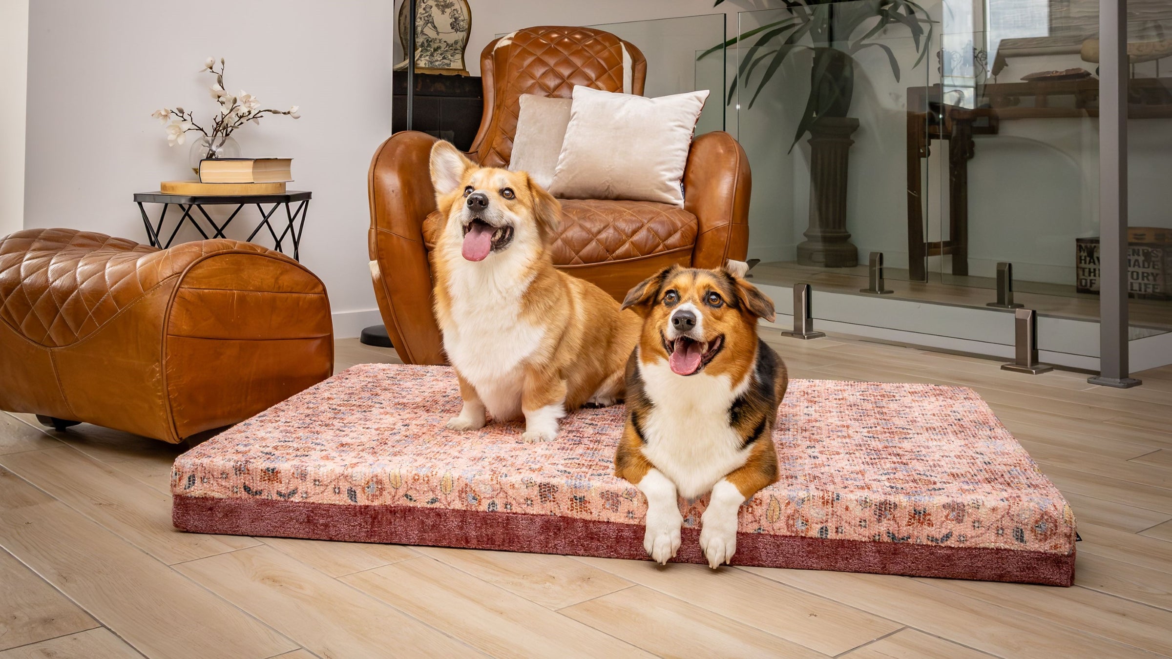Luxury Orthopedic Dog Beds