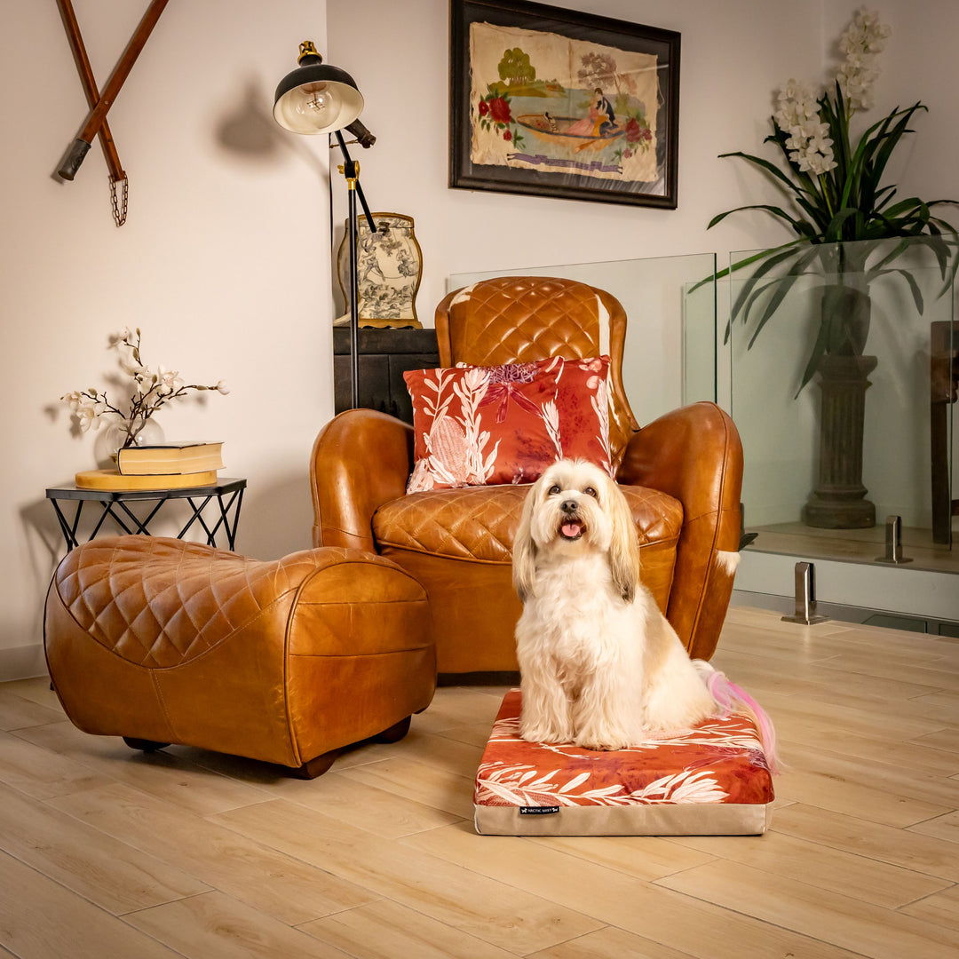 luxury australian made small orthopedic dog bed orthopaedic supportive dog bed