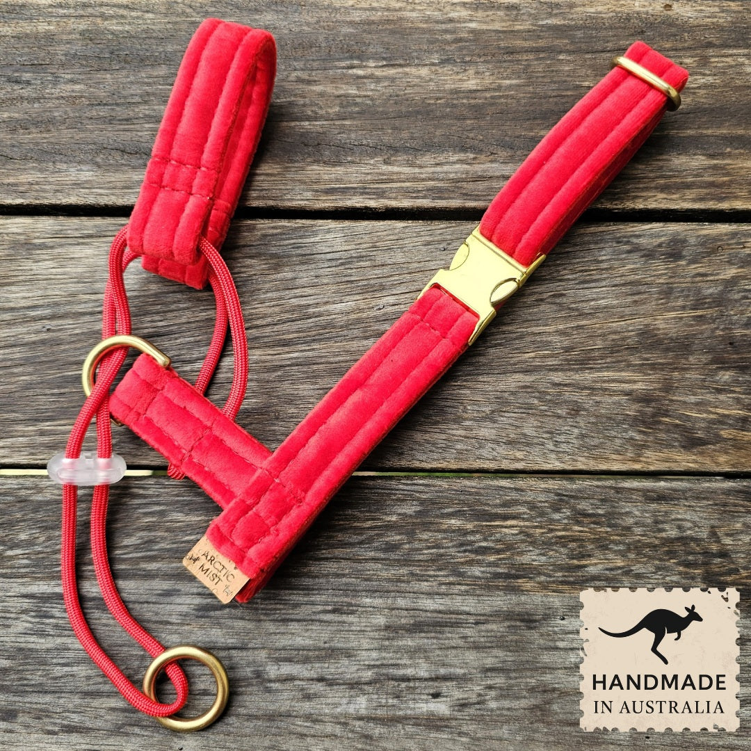 Red Luxury Velvet Complete Training Halter