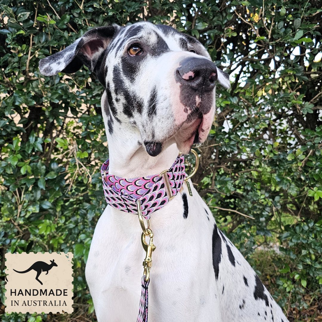 Berry Éclair Monte Carlo Martingale Collar