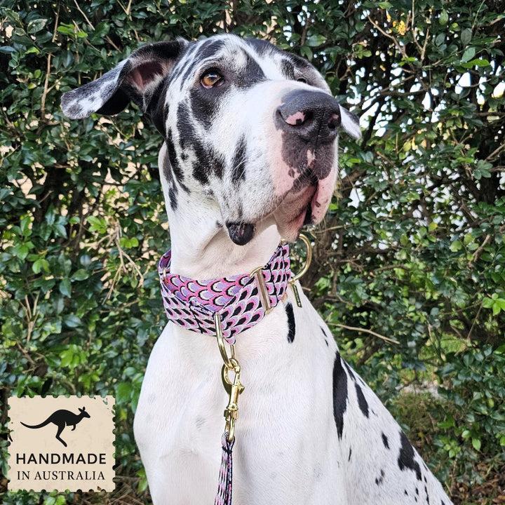 Berry Éclair Monte Carlo Martingale Collar