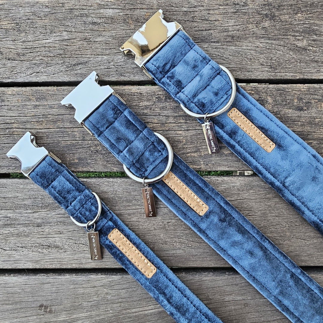 Blue Luxury Velvet Buckle Collar (samples)