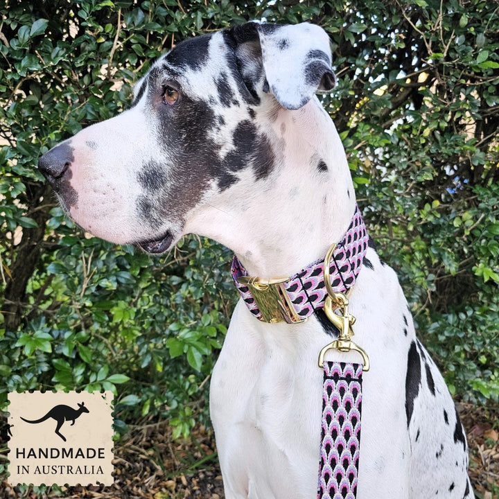 Berry Éclair Monte Carlo Buckle Collar