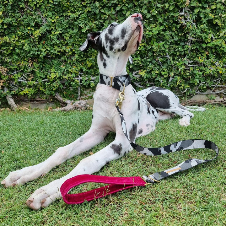 Glam Camo Martingale Collar