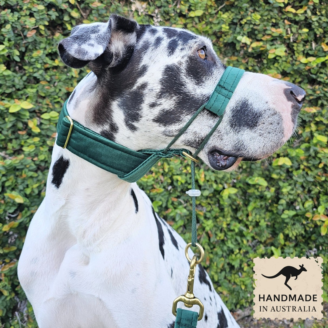 Forest Green Luxury Velvet Head Halter Attachment