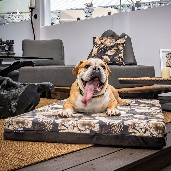 luxury australian made large orthopedic dog bed orthopaedic supportive dog bed