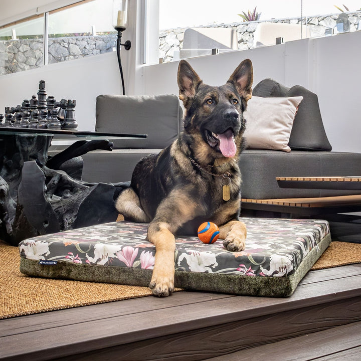 luxury australian made large orthopedic dog bed orthopaedic supportive dog bed