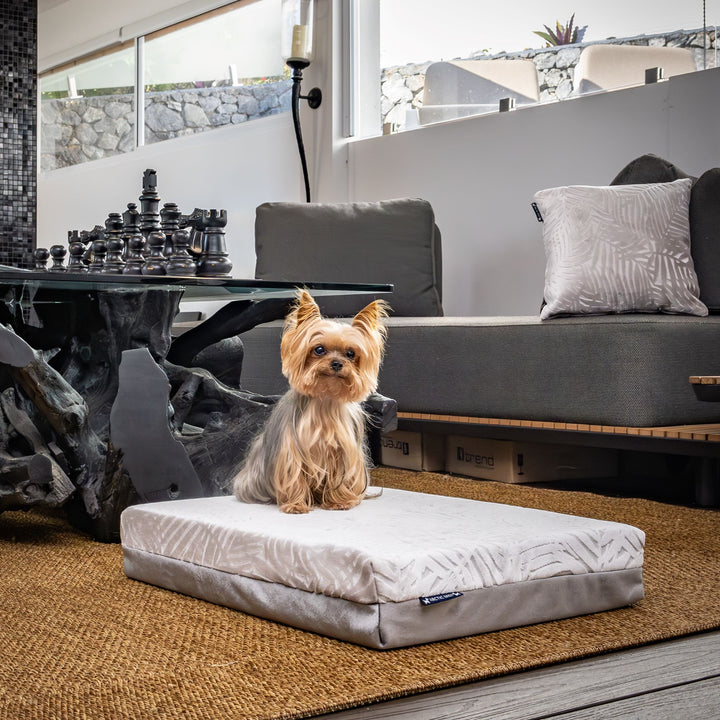 luxury australian made small orthopedic dog bed orthopaedic supportive dog bed