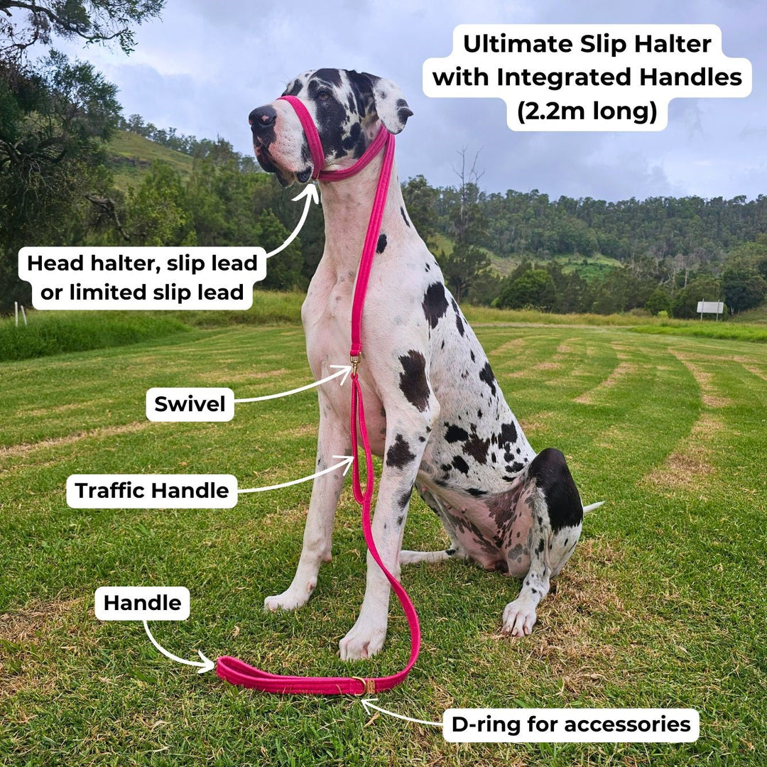 Berry Pink Adventure Slip Halter