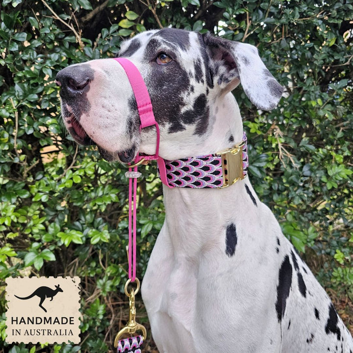 Berry Pink Adventure Head Halter Attachment