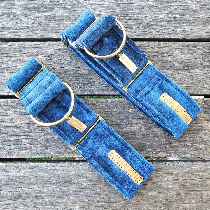 Blue Luxury Velvet Martingale Collar (samples)