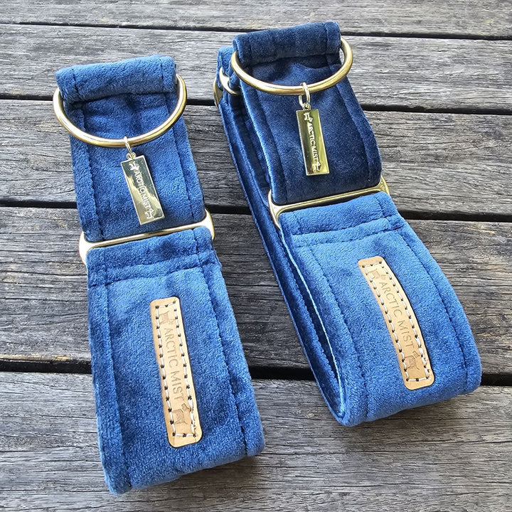 Blue Luxury Velvet Martingale Collar (samples)