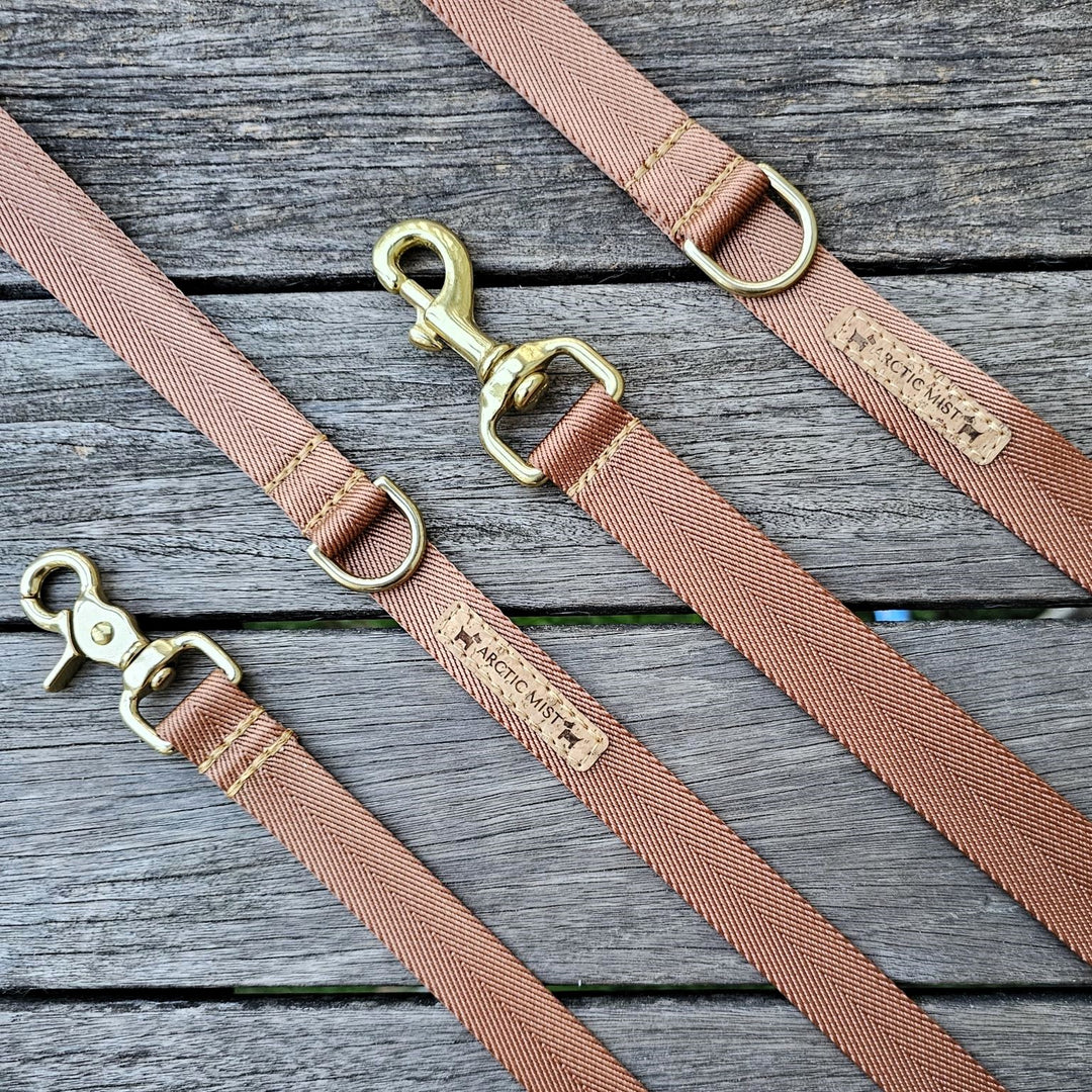 caramel latte adventure nylong webbing webbed dog lead leash