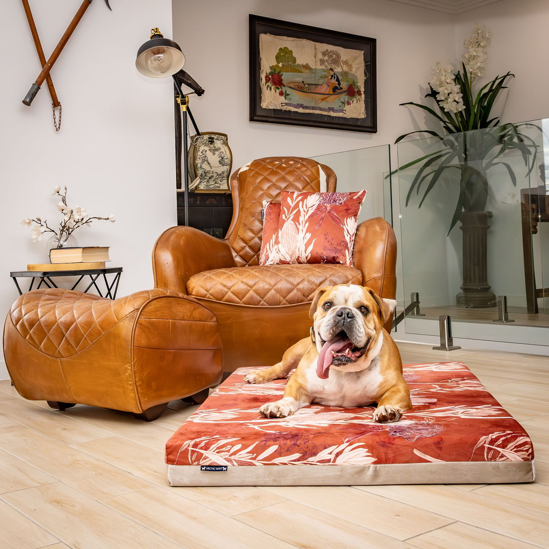 luxury australian made large orthopedic dog bed orthopaedic supportive dog bed