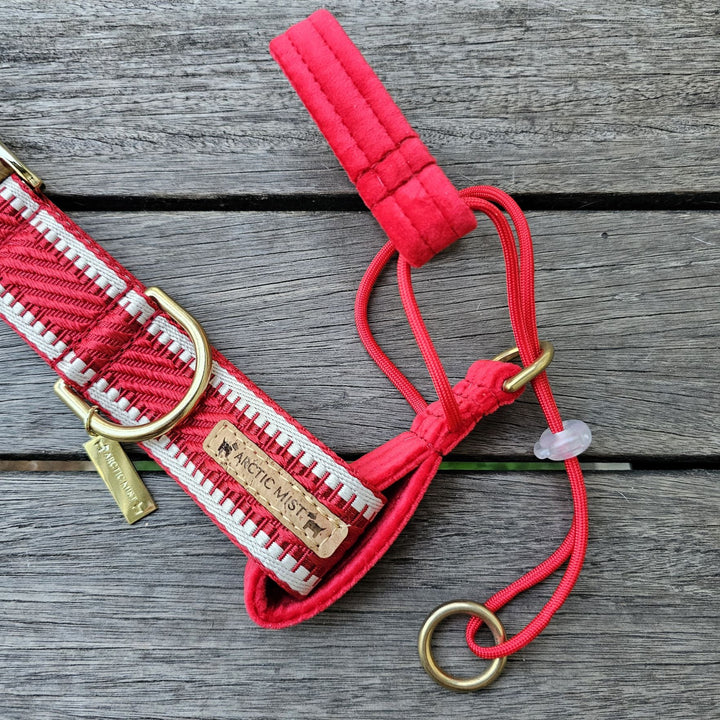 luxury red velvet dog buckle collar head halter halti