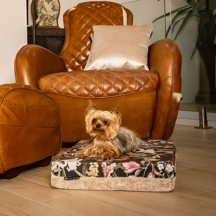 luxury australian made small orthopedic dog bed orthopaedic supportive dog bed