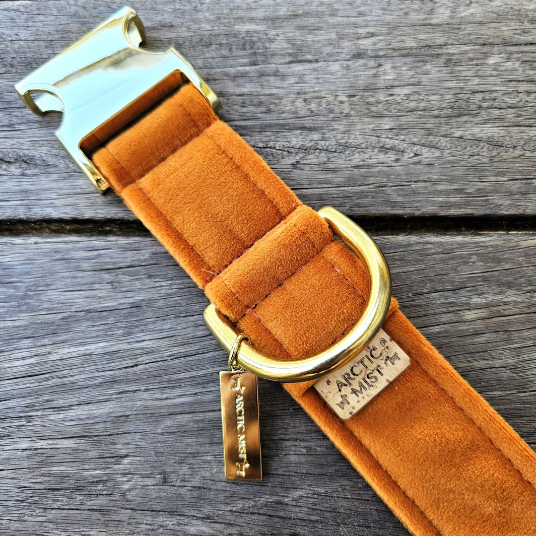 Burnt Orange Luxury Velvet Buckle Collar