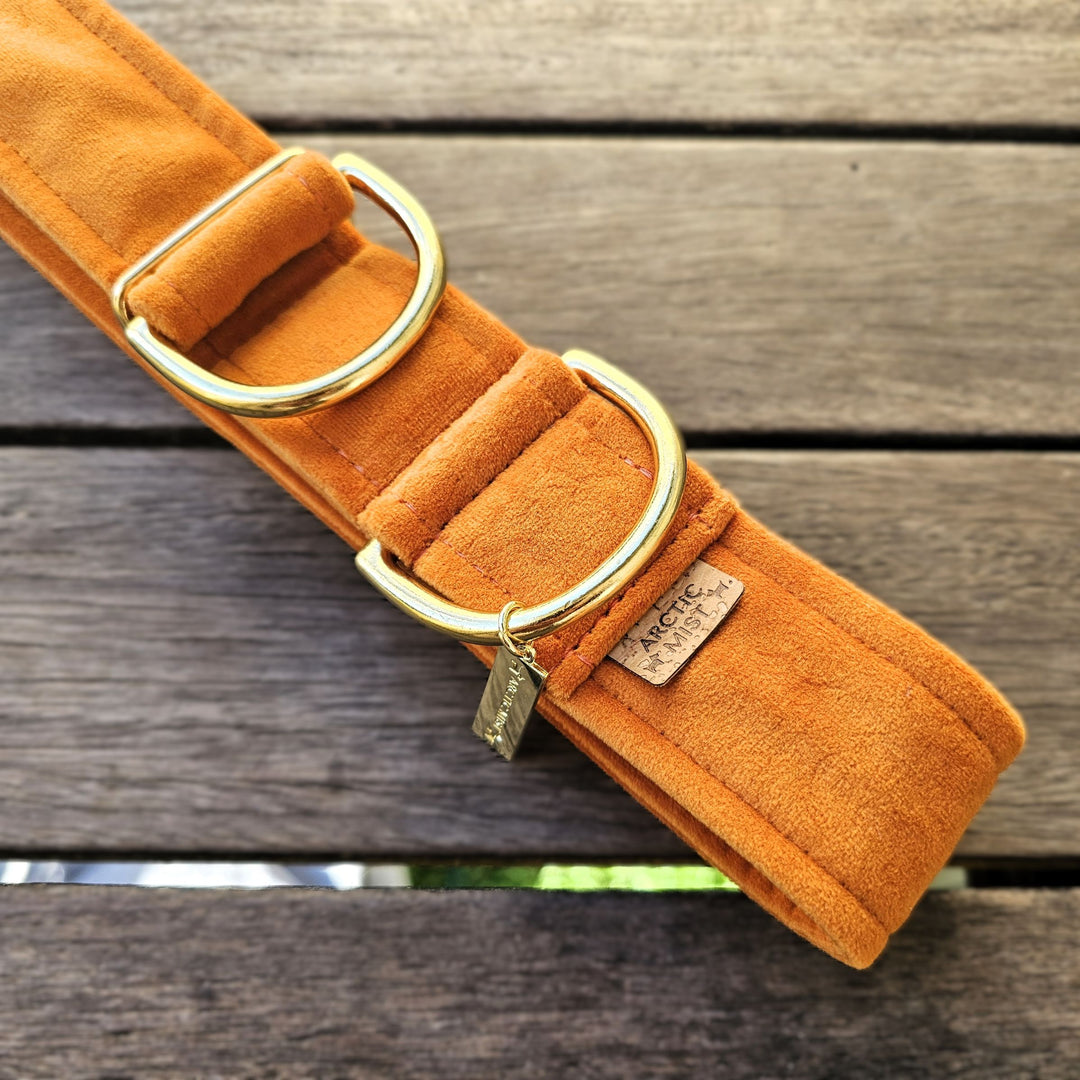 luxury burnt orange velvet dog limited slip collar martingale collar