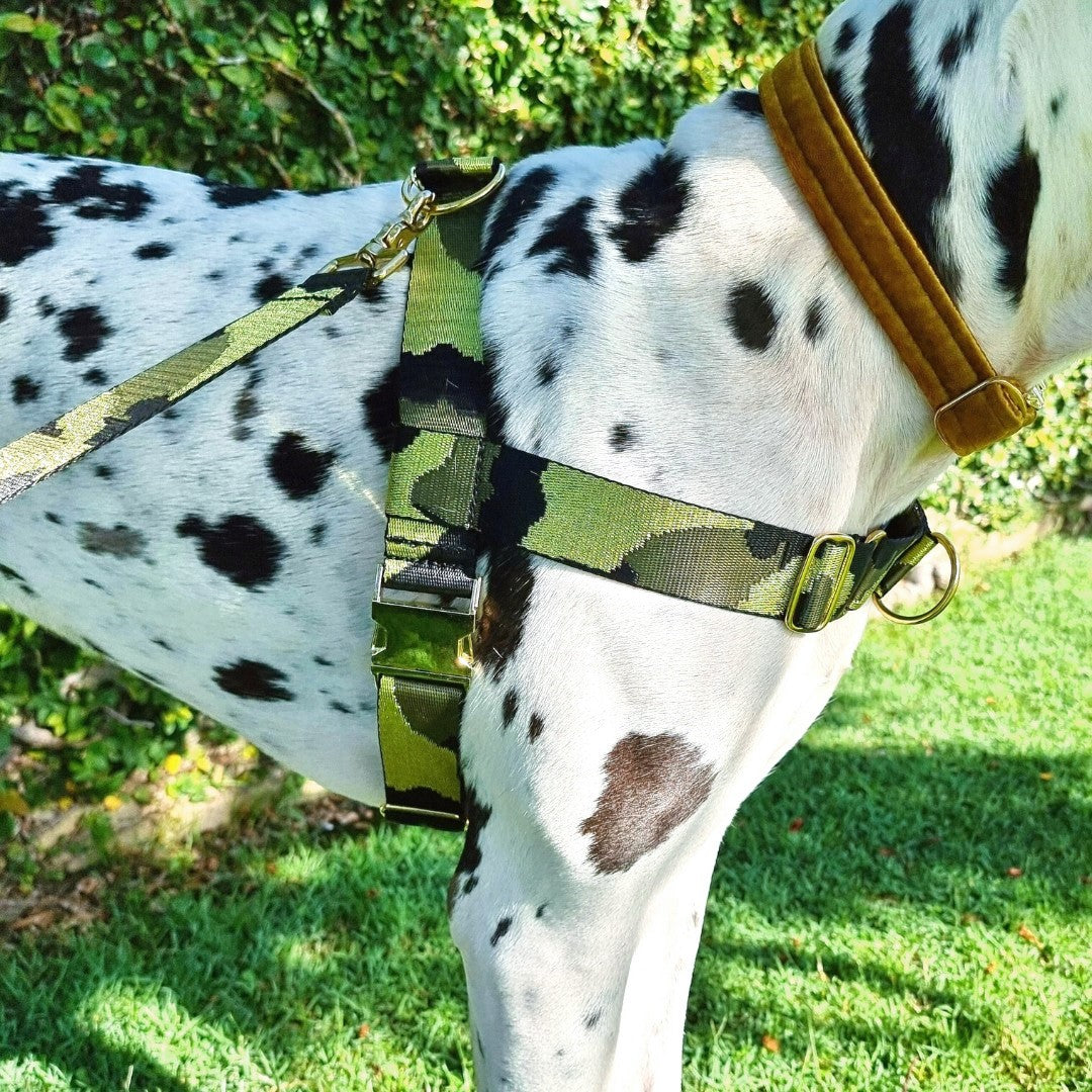 Glam Camo Harness