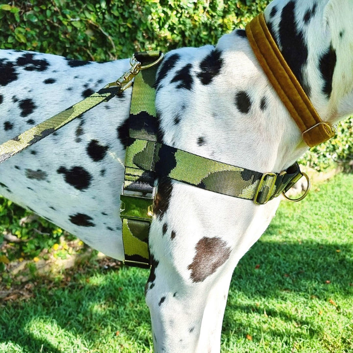 Glam Camo Harness