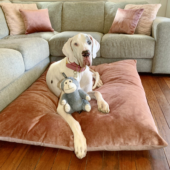 Cushion Covers