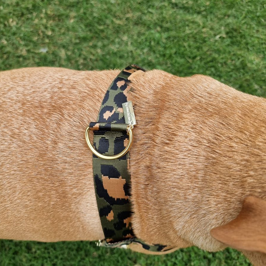 leopard nylon webbing harness