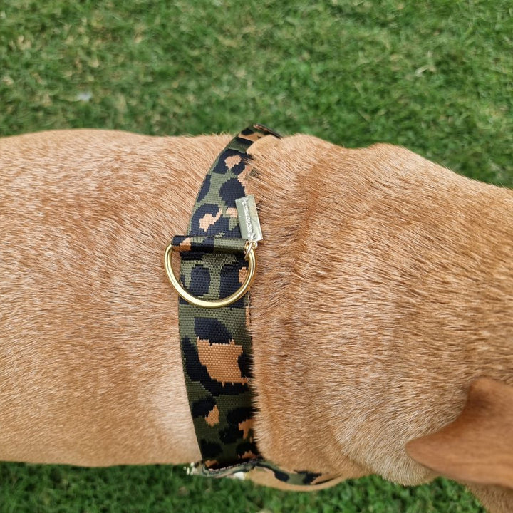 leopard nylon webbing harness