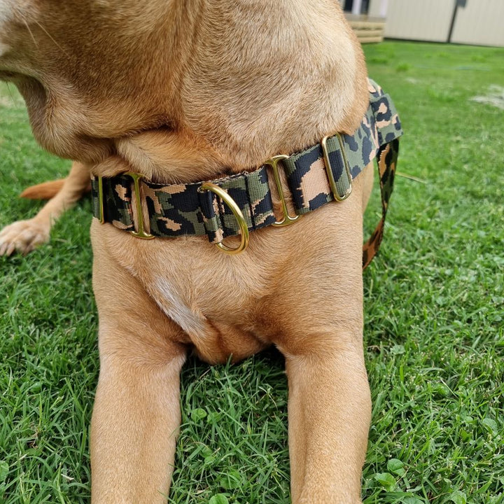leopard nylon webbing harness