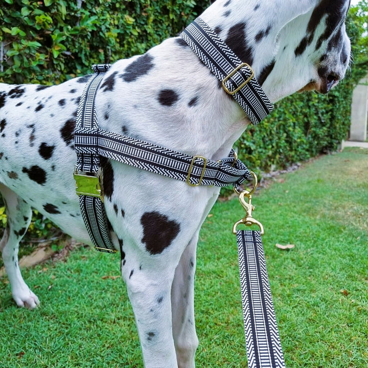 Aztec Harness