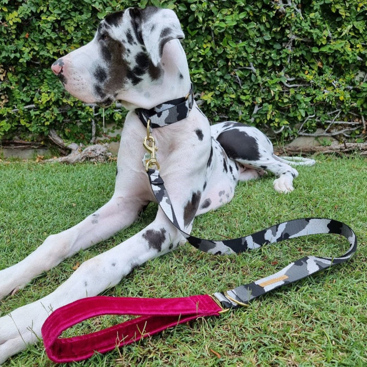 Statement Glam Camo Lead