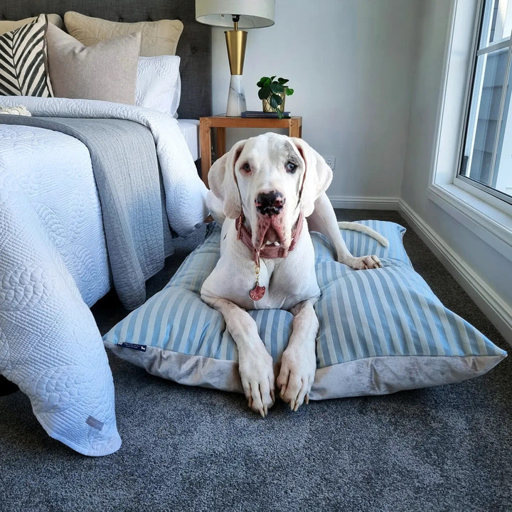 Pastel Sapphire Luxe Velvet Bed