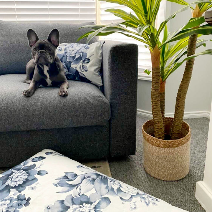Cushion Covers
