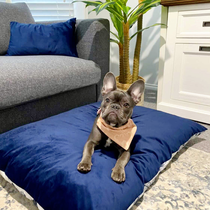 Cushion Covers