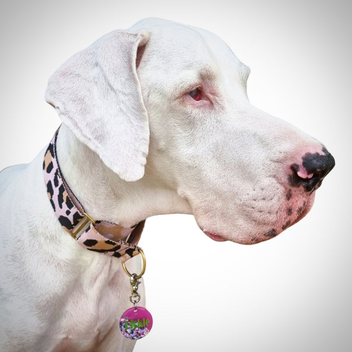 blush leopard nylon webbing martingale collar