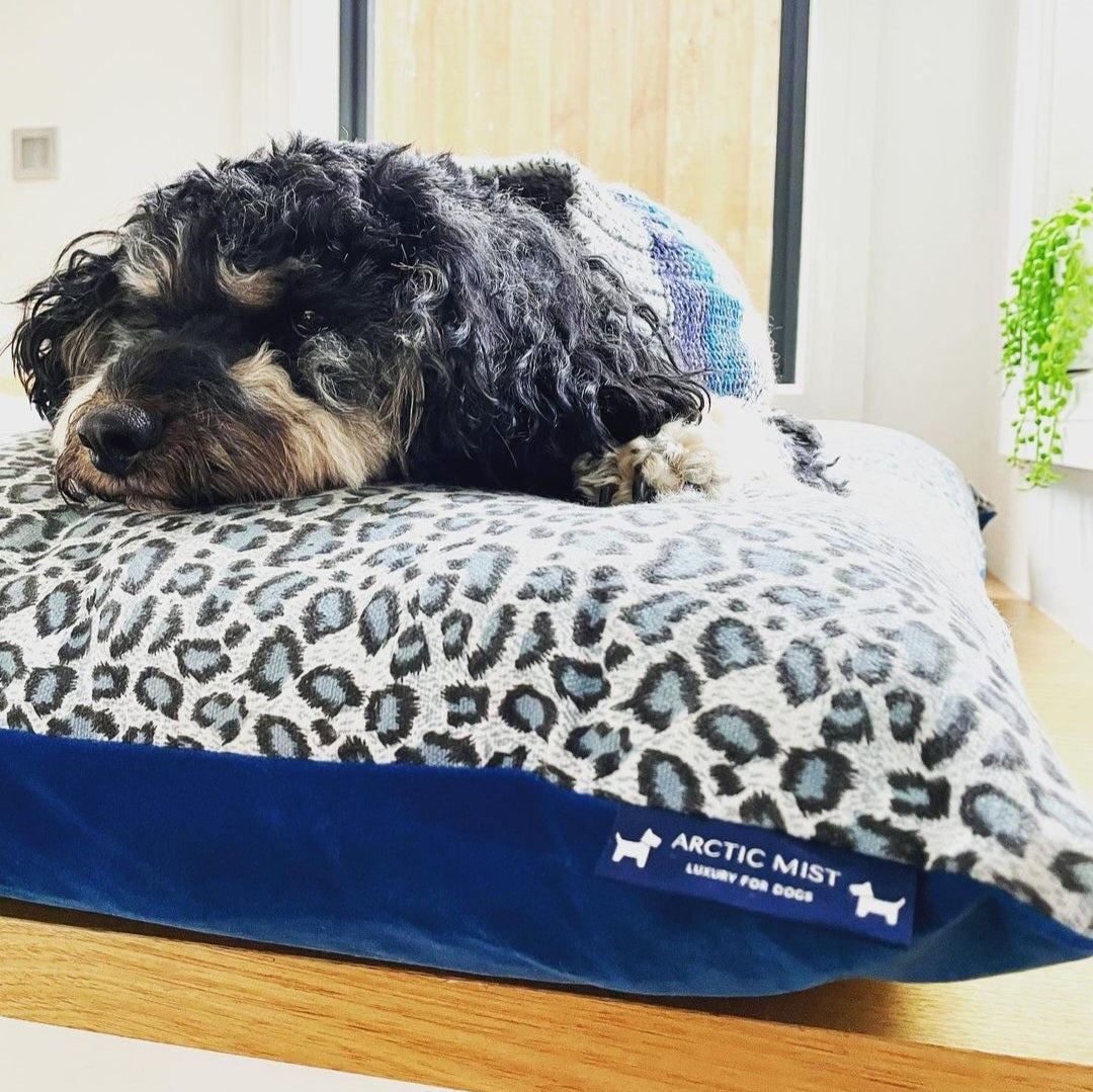 Jungle Leopard Velvet Bed- Medium