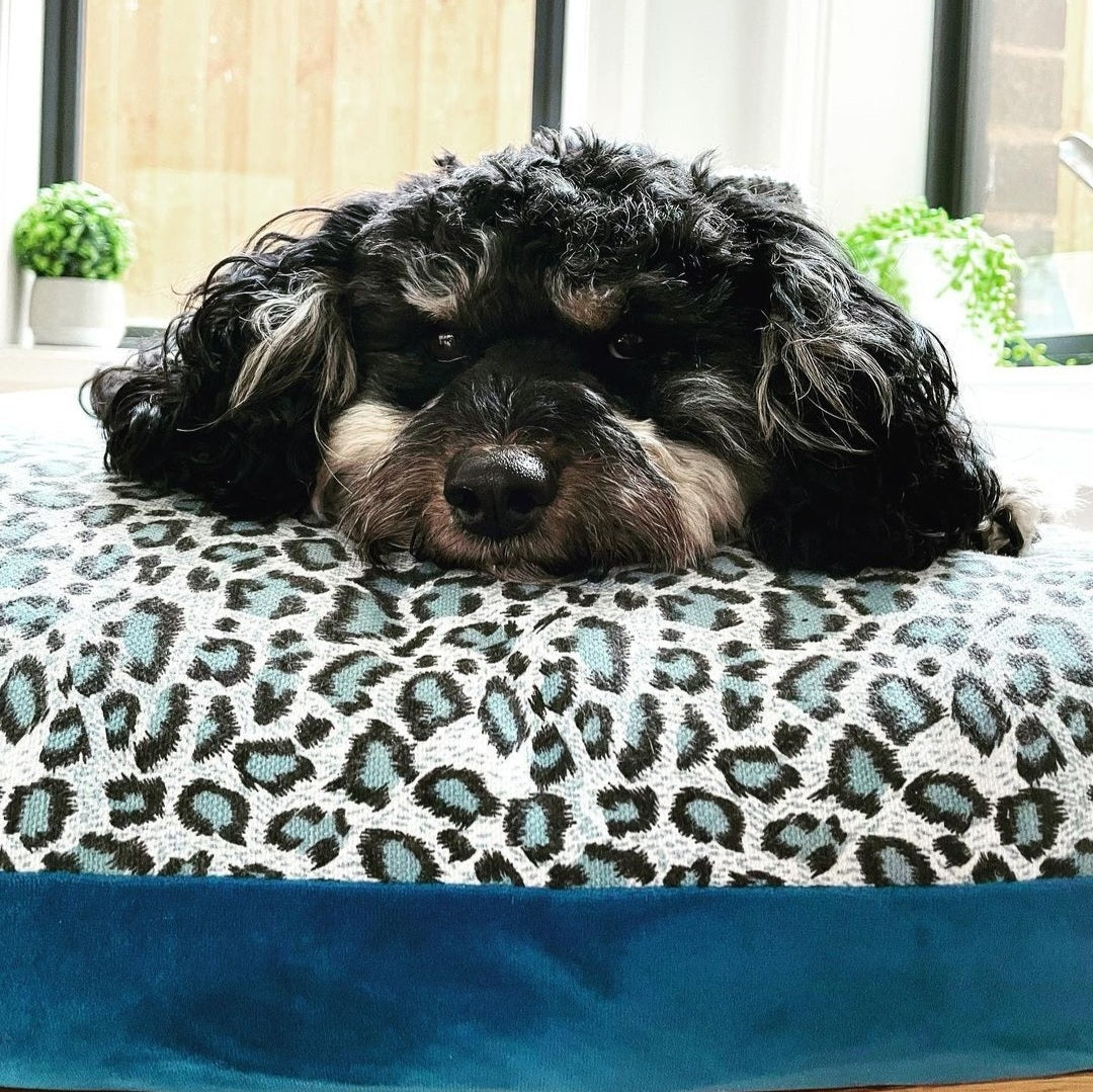 Jungle Leopard Velvet Bed- Medium