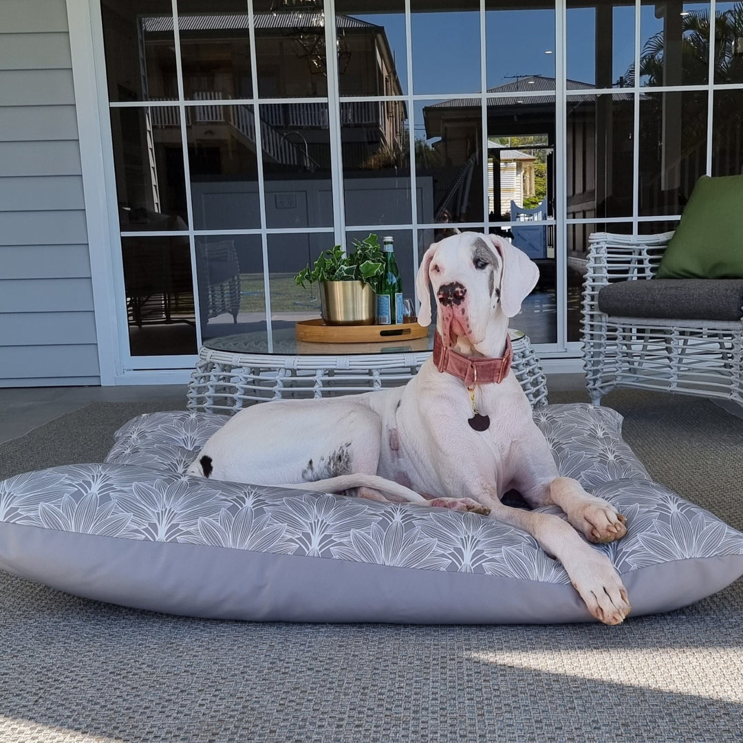 Palm Grey Outdoor Bed- Medium