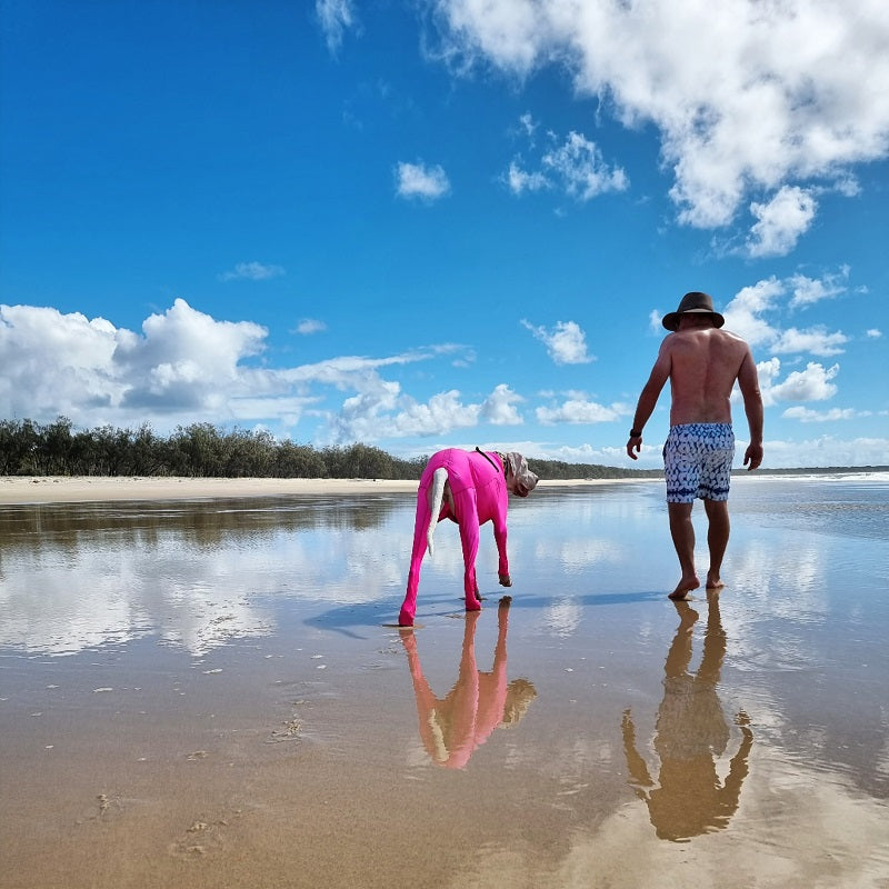 5 Calming Activities To De-stress With Your Dog
