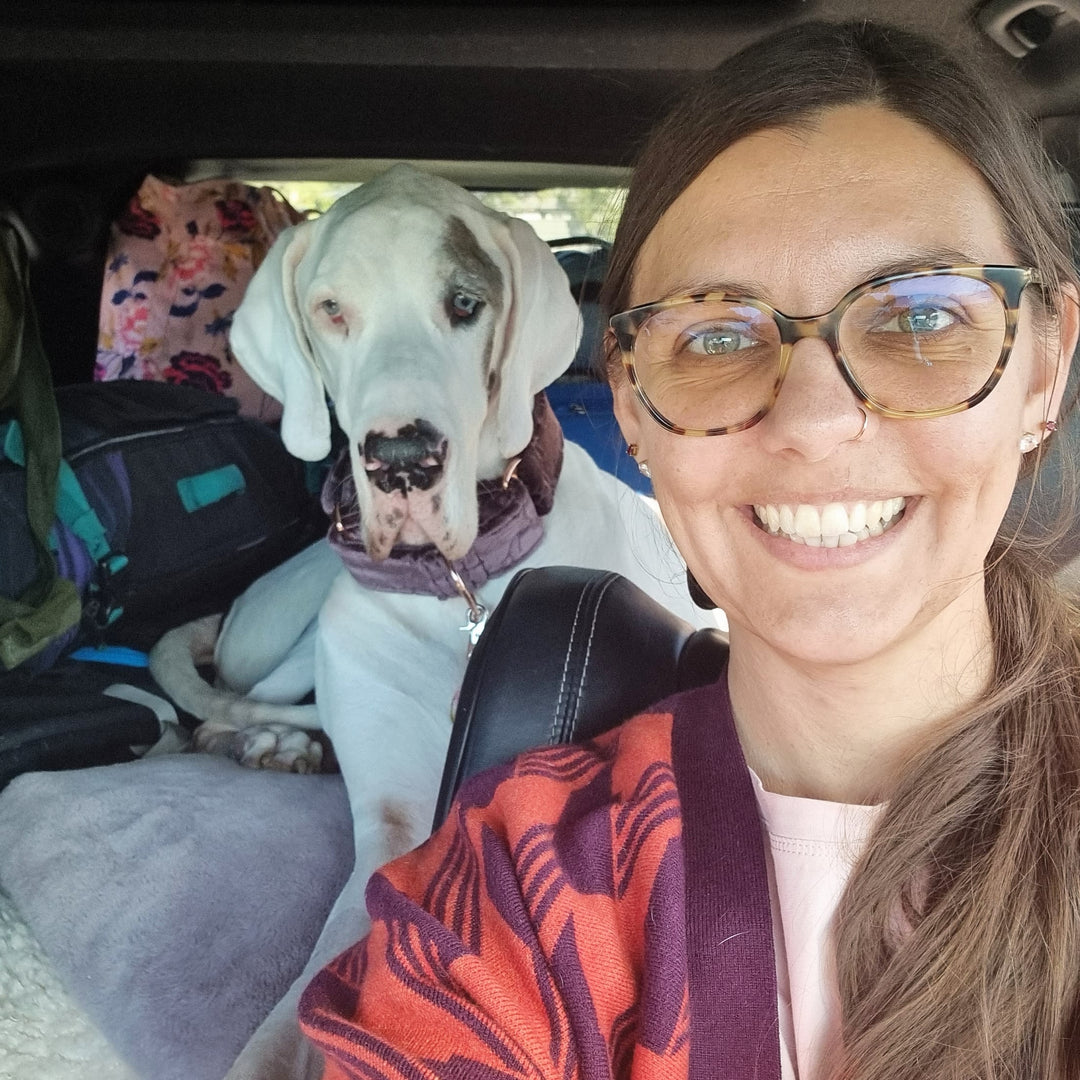 Planning a Dog Friendly Holiday in Australia