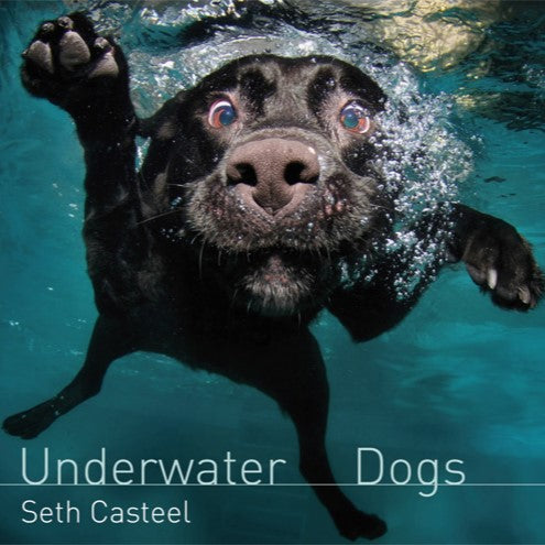 8 Stylish Dog Coffee Table Books