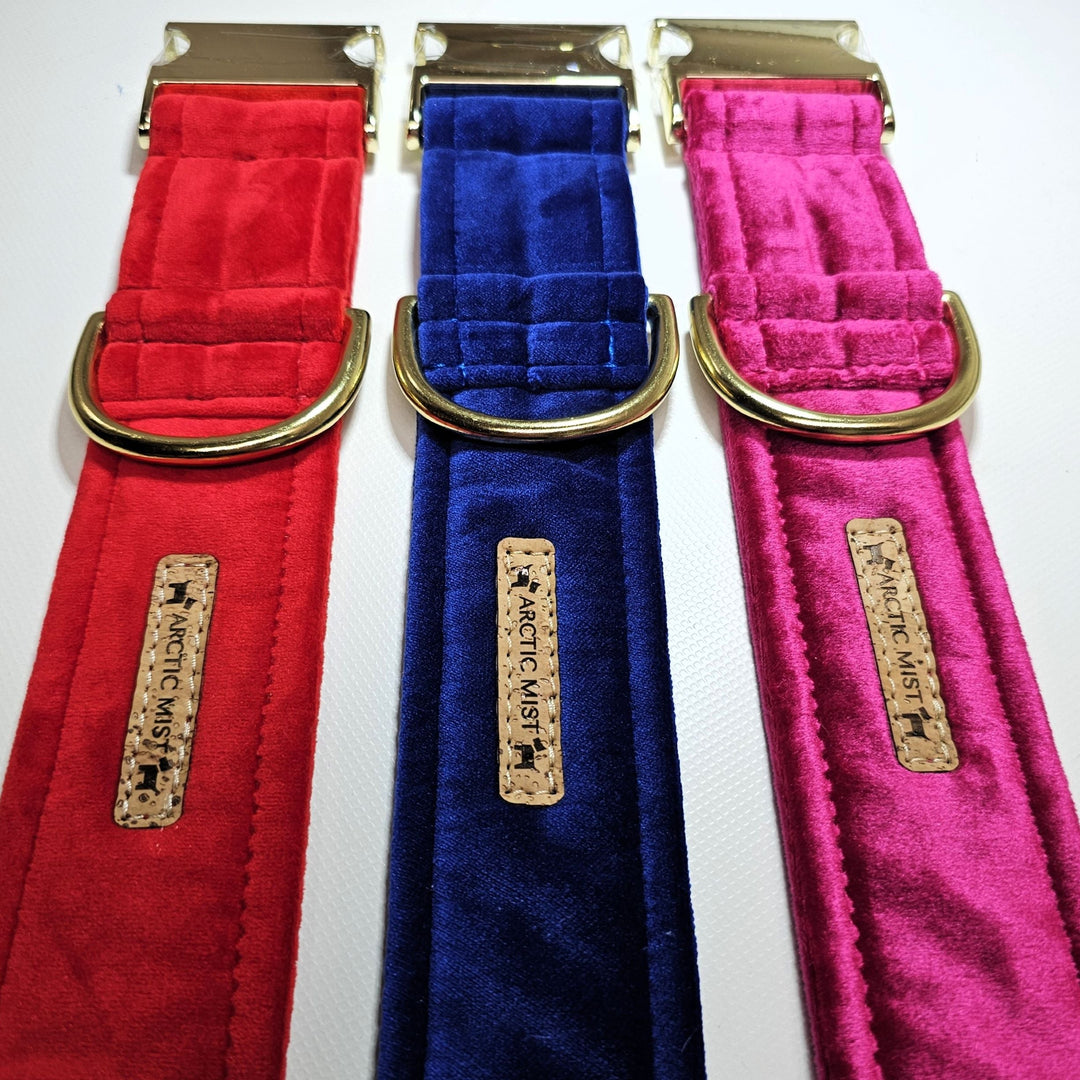 Buckle Collars