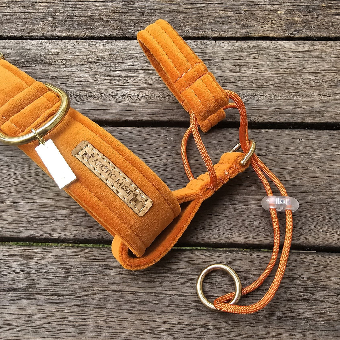 Head Halters