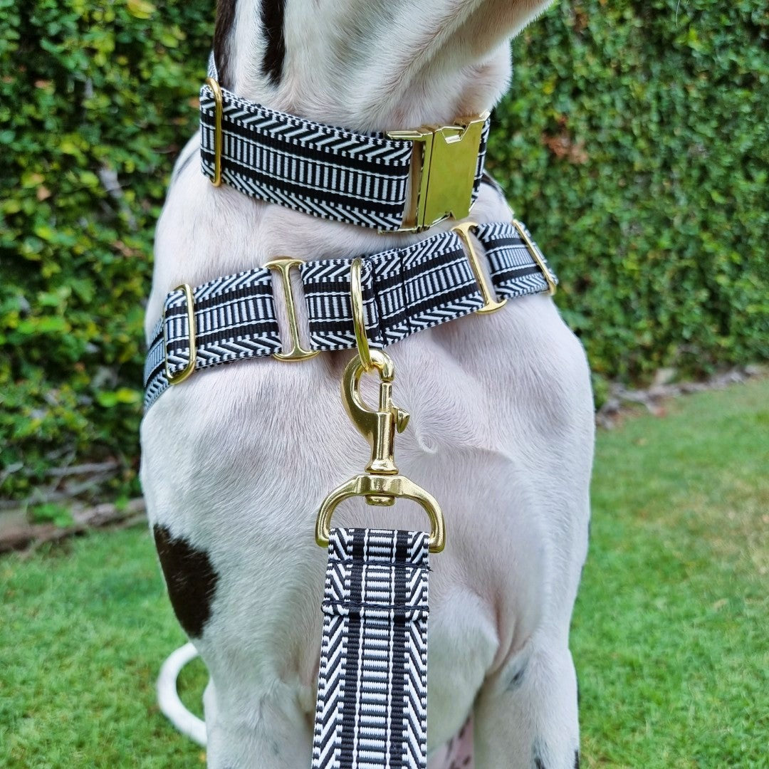 Harnesses