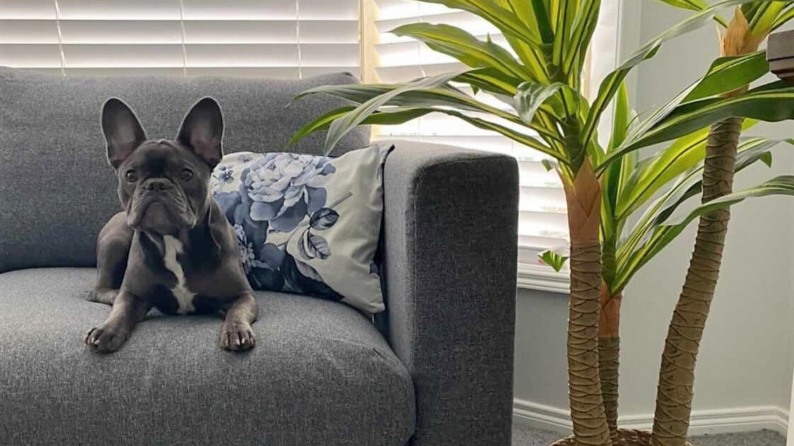 Home Decor & Bed Accessories