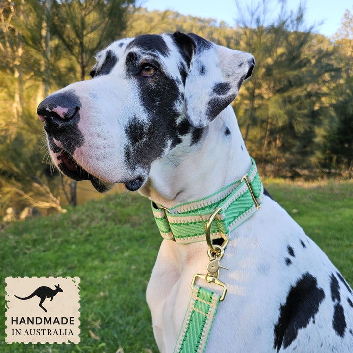 Emerald Green St Tropez Martingale Collar