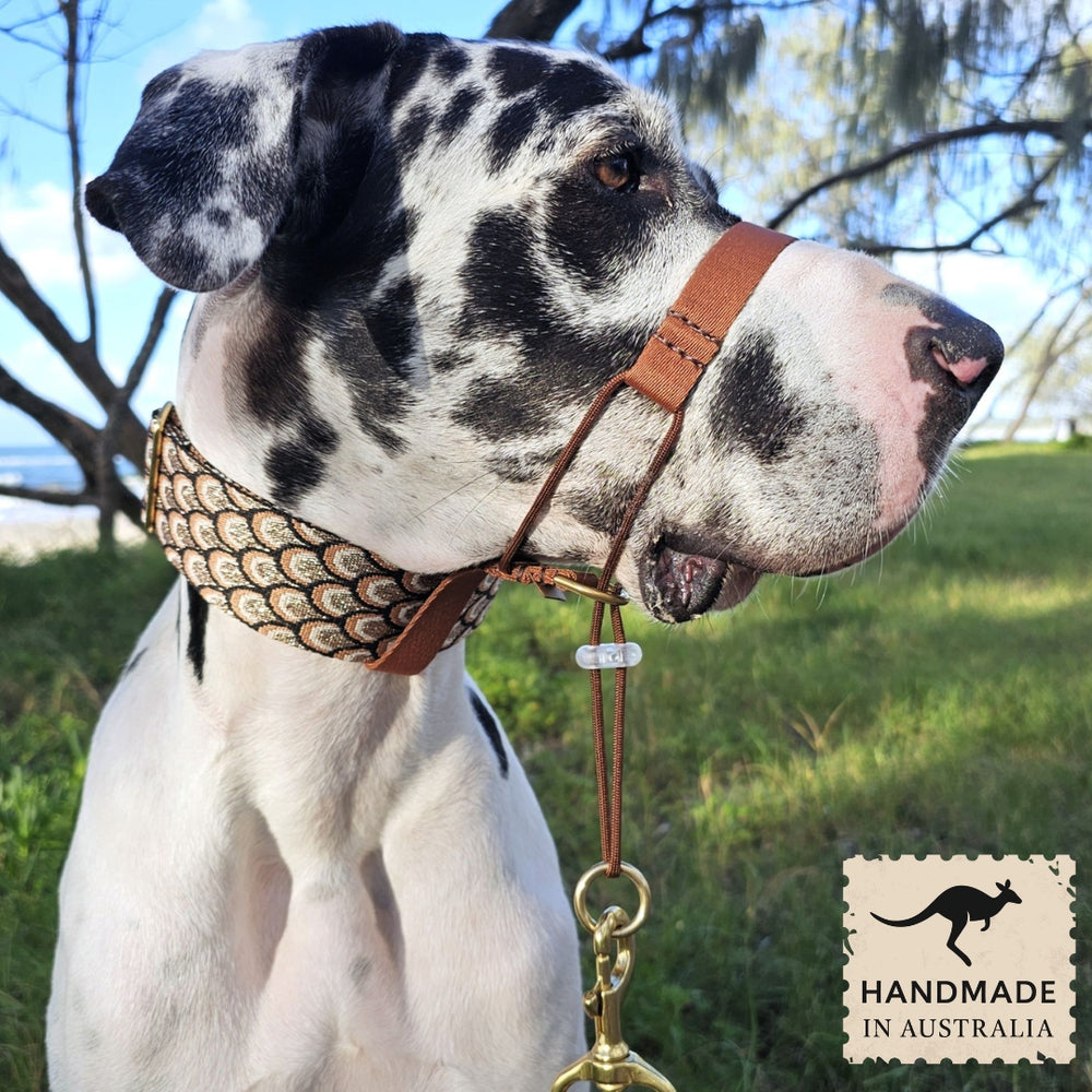 mocha mousse chocolate brown dog training head halter halti attachment