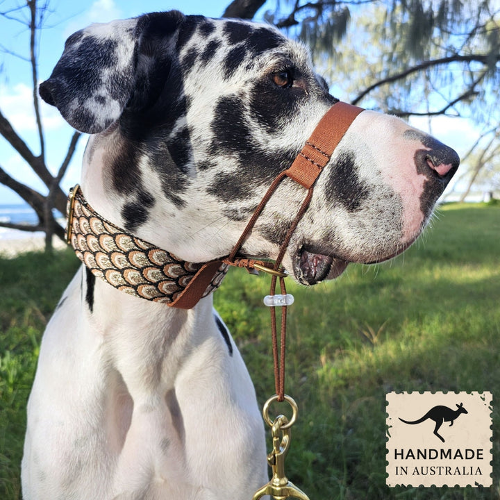 mocha mousse chocolate brown dog training head halter halti attachment