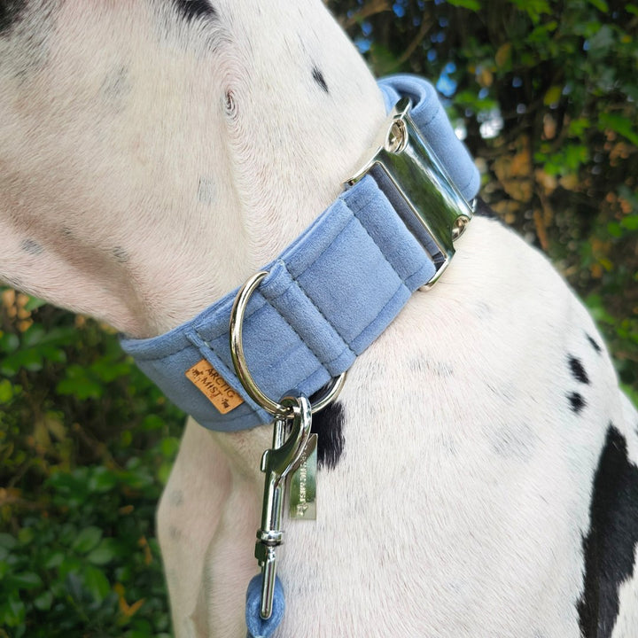 Storm Blue Luxury Velvet Buckle Collar