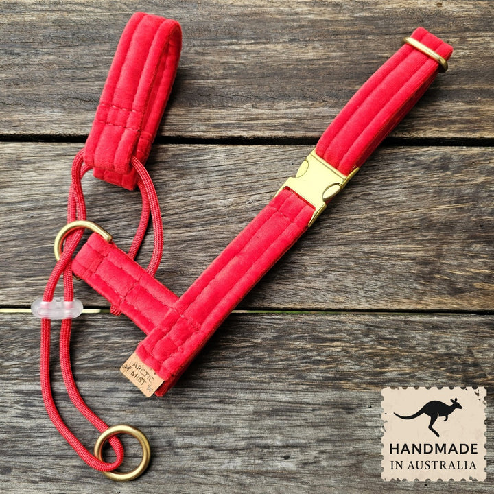 Red Luxury Velvet Complete Training Halter