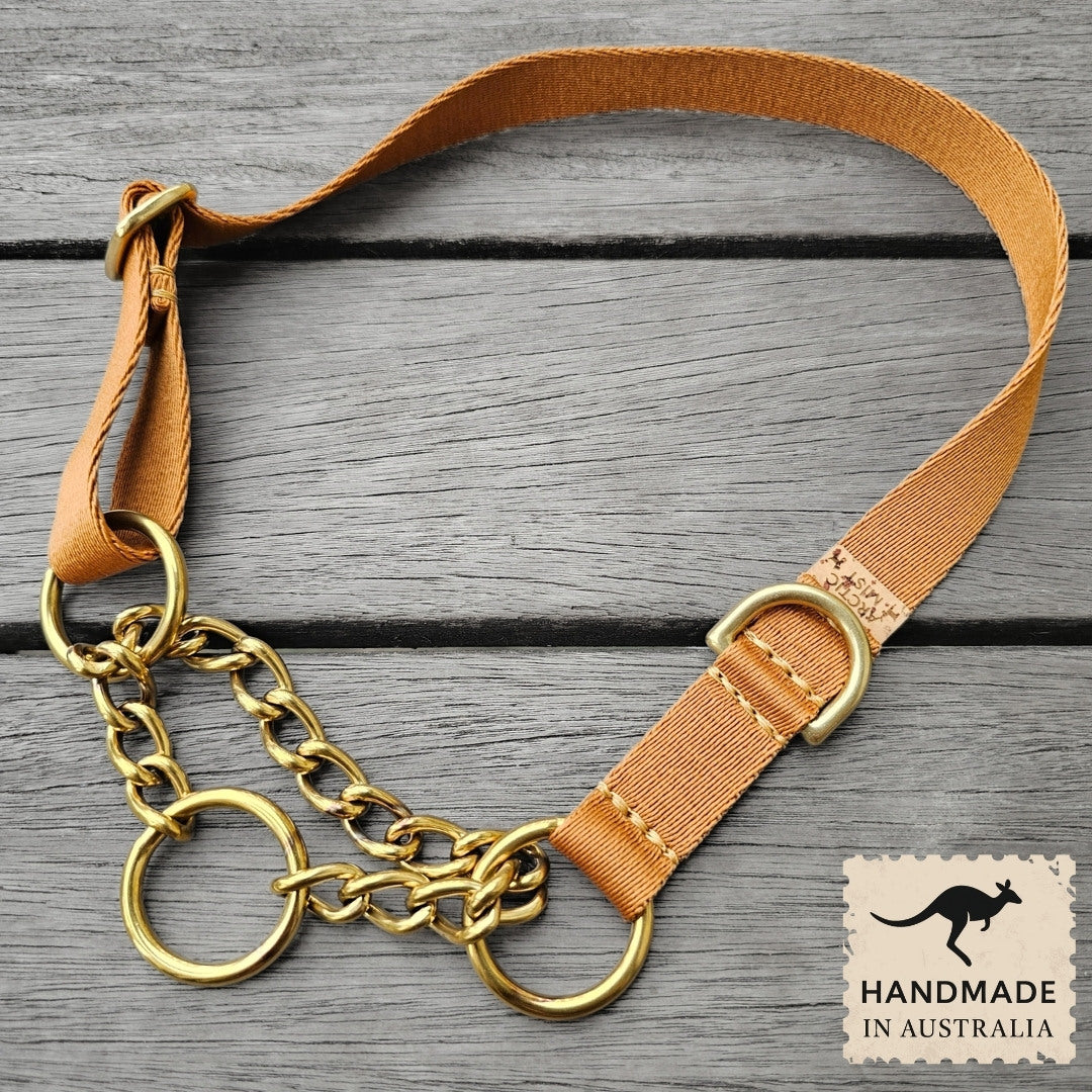 Caramel Latte Adventure Chain Martingale Collar